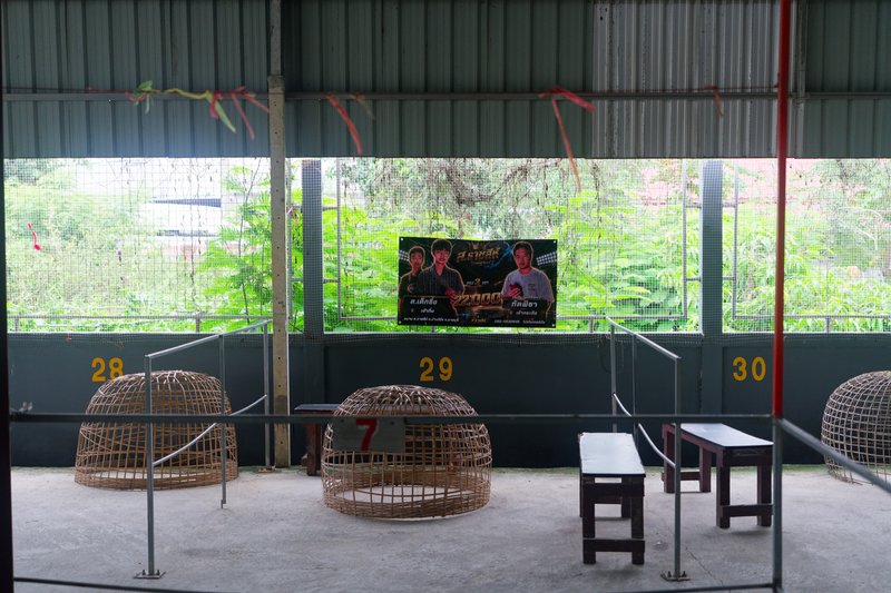 Cock Wellness Center
