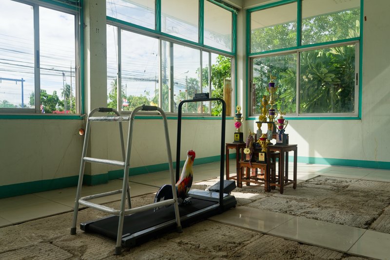 Cock Wellness Center