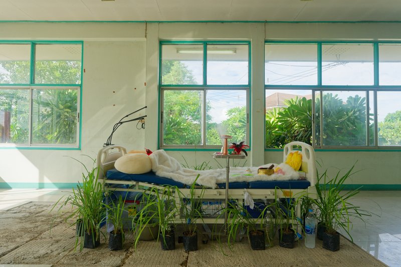 Cock Wellness Center