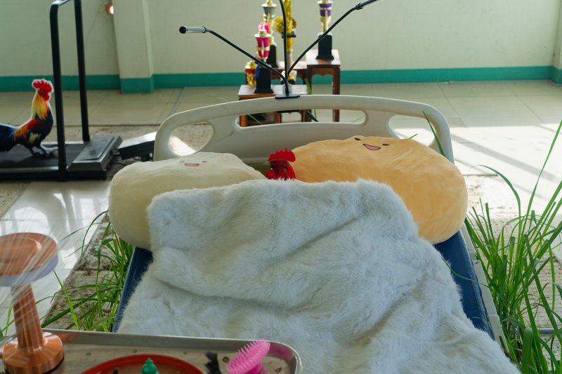 Cock Wellness Center