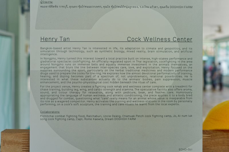Cock Wellness Center